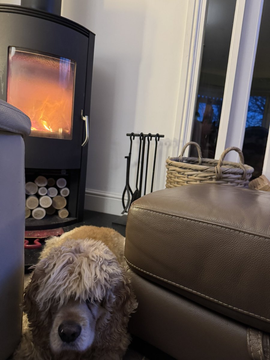 SpanielsSuper's tweet image. After my very prickly experience with a nasty bush 
I have come home &amp;amp; am relaxing 
I managed to get the #BestSeatInTheHouse 
#WarmAndToasty