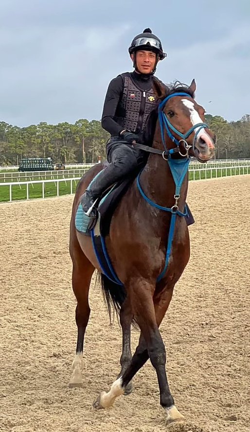 Tania Aguilar❤️ tweet media