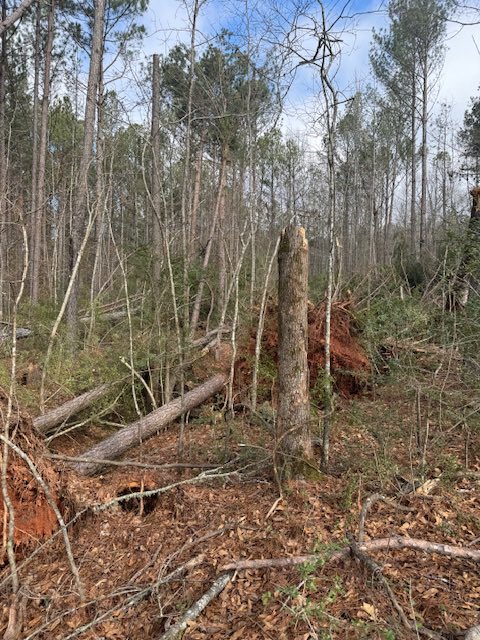 NWSAtlanta's tweet image. We have confirmed an EF0 tornado did occur early Sunday AM in NE Troup County.  Max winds of 85mph.  Tornado occurred between 4:25AM and 4:27AM in a mostly wooded area, however 1 structure was hit and sustained roof damage.  Thanks to Troup Co EMA for assistance on the survey