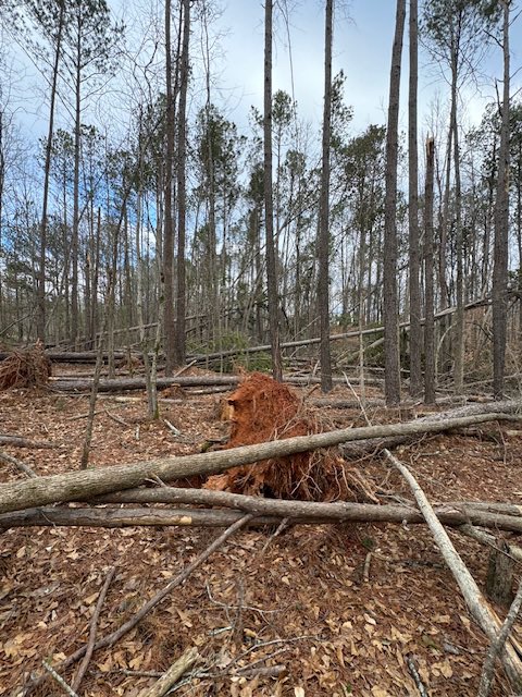 NWSAtlanta's tweet image. We have confirmed an EF0 tornado did occur early Sunday AM in NE Troup County.  Max winds of 85mph.  Tornado occurred between 4:25AM and 4:27AM in a mostly wooded area, however 1 structure was hit and sustained roof damage.  Thanks to Troup Co EMA for assistance on the survey