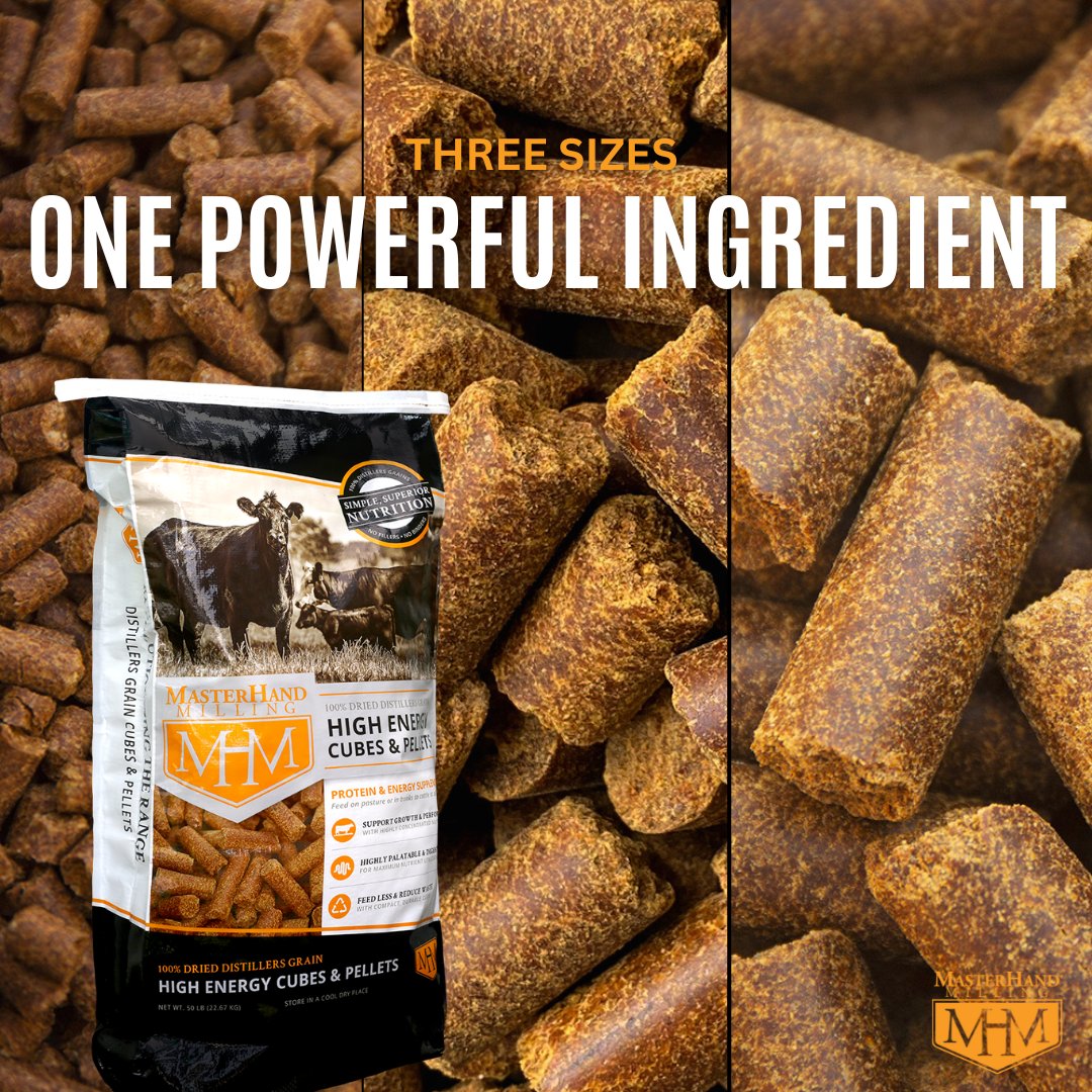 MH_Milling's tweet photo. Fuel your herd with simple, superior nutrition. Our 100% DDG cubes pack 28% protein and 8% fat, available in three sizes to fit any operation.

#masterhandmilling  #revolutionizetherange #ddgcubes #rangecubes #cattlefeed #ranchlife #cattlefeeders #beefcattle #rancher https://t.co/MYzK75ZXIL