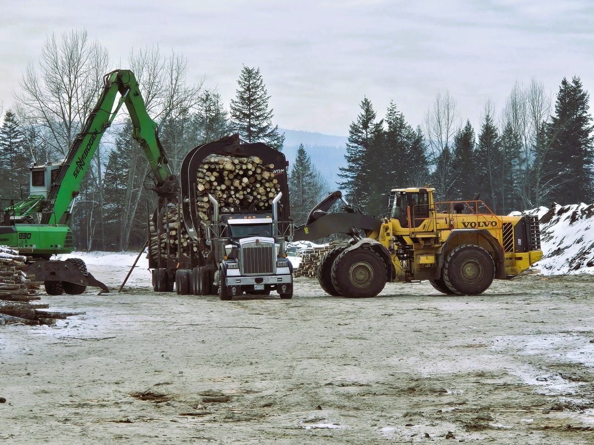 Sutherland_Grp's tweet image. 🚚🌲 Loading up for a productive day in Quesnel! 
Our skilled team is ensuring that logs are securely loaded onto our logging trucks, ready to haul sustainably. ♻️ 
Learn more 👉 bit.ly/4hKP9FH
#Trucking #SustainableLogging #BCIndustry #SutcoTransport #LogHauling