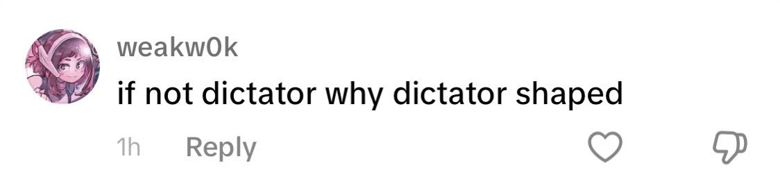 This random TikTok commenter better at messaging than the entire Democratic Party