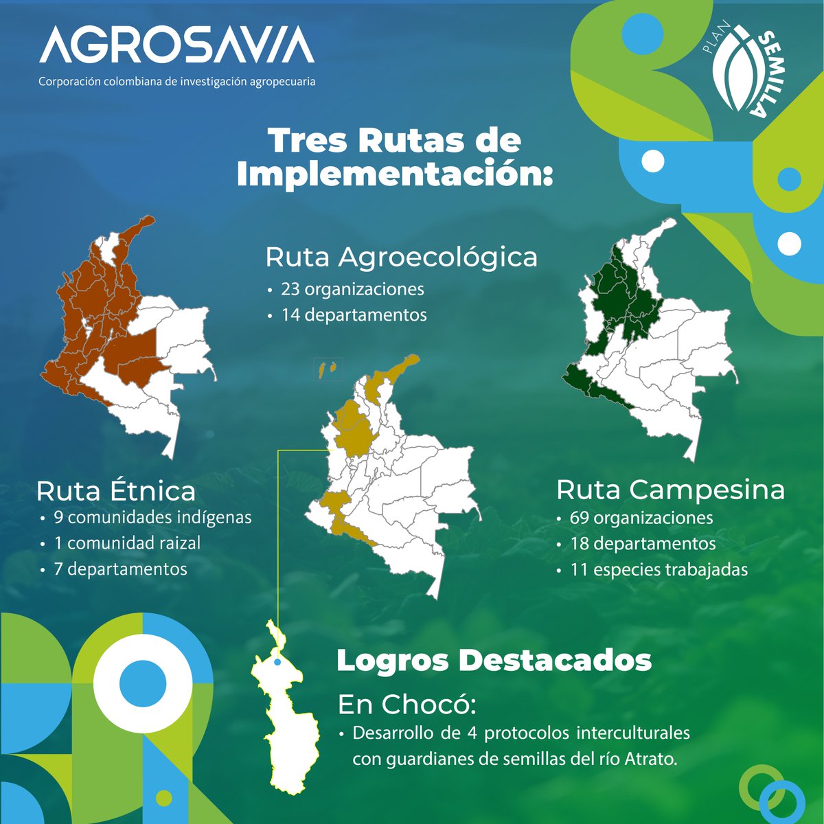 SomosAGROSAVIA's tweet photo. E̲l̲ a̲g̲r̲o̲ n̲e̲c̲e̲s̲i̲t̲a̲ c̲i̲e̲n̲c̲i̲a̲,̲ l̲a̲ c̲i̲e̲n̲c̲i̲a̲ n̲e̲c̲e̲s̲i̲t̲a̲ i̲n̲v̲e̲r̲s̲i̲ó̲n̲…̲ ¡̲s̲u̲m̲e̲m̲o̲s̲ e̲s̲f̲u̲e̲r̲z̲o̲s̲!̲ C̲o̲l̲o̲m̲b̲i̲a̲ n̲e̲c̲e̲s̲i̲t̲a̲ A̲G̲R̲O̲S̲A̲V̲I̲A̲.̲

El Plan Nacional de Semillas ha llegado a 88 municipios en 24 departamentos, impactando a 5.000 personas a través de tres rutas: étnica, agroecológica y campesina. Estamos apoyando a 9 comunidades indígenas, 1 comunidad raizal, 23 organizaciones agroecológicas y 69 campesinas para crear un agro más sostenible y diverso. 

Sé parte del cambio y construyamos juntos un sector agropecuario más fuerte.