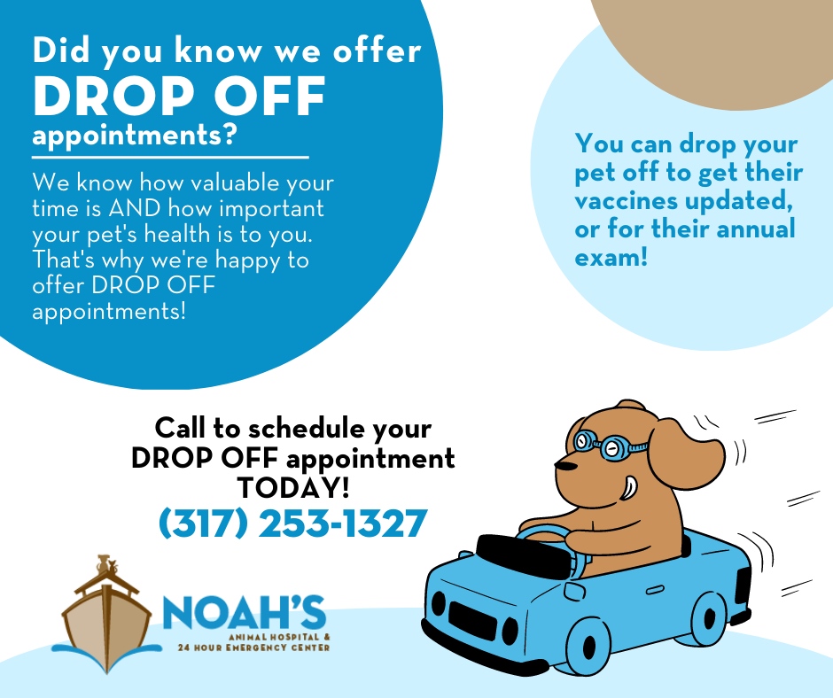 We know how valuable your time is...and how important your pet's health is. That's why we're happy to offer convenient, drop off appointments! Call us to schedule your pet's drop off appointment for their annual exam, to get their vaccines updated...or both! (317) 253-1327