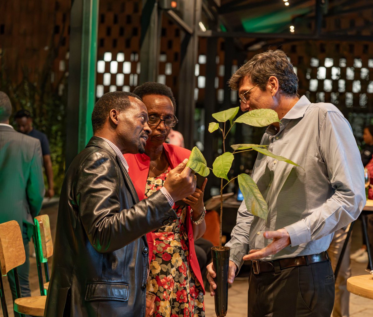 CoEBrwanda's tweet photo. 🌲UPDATES🌲
@BethKaplin1 , Senior Researcher at @CoEBrwanda  is presenting on the #LegacyTreeProject, exploring how scientific research and traditional knowledge come together to protect Rwanda’s native trees and preserve their legacy.

#GreenRwanda 🇷🇼🌿 https://t.co/gt3CIpL0bh