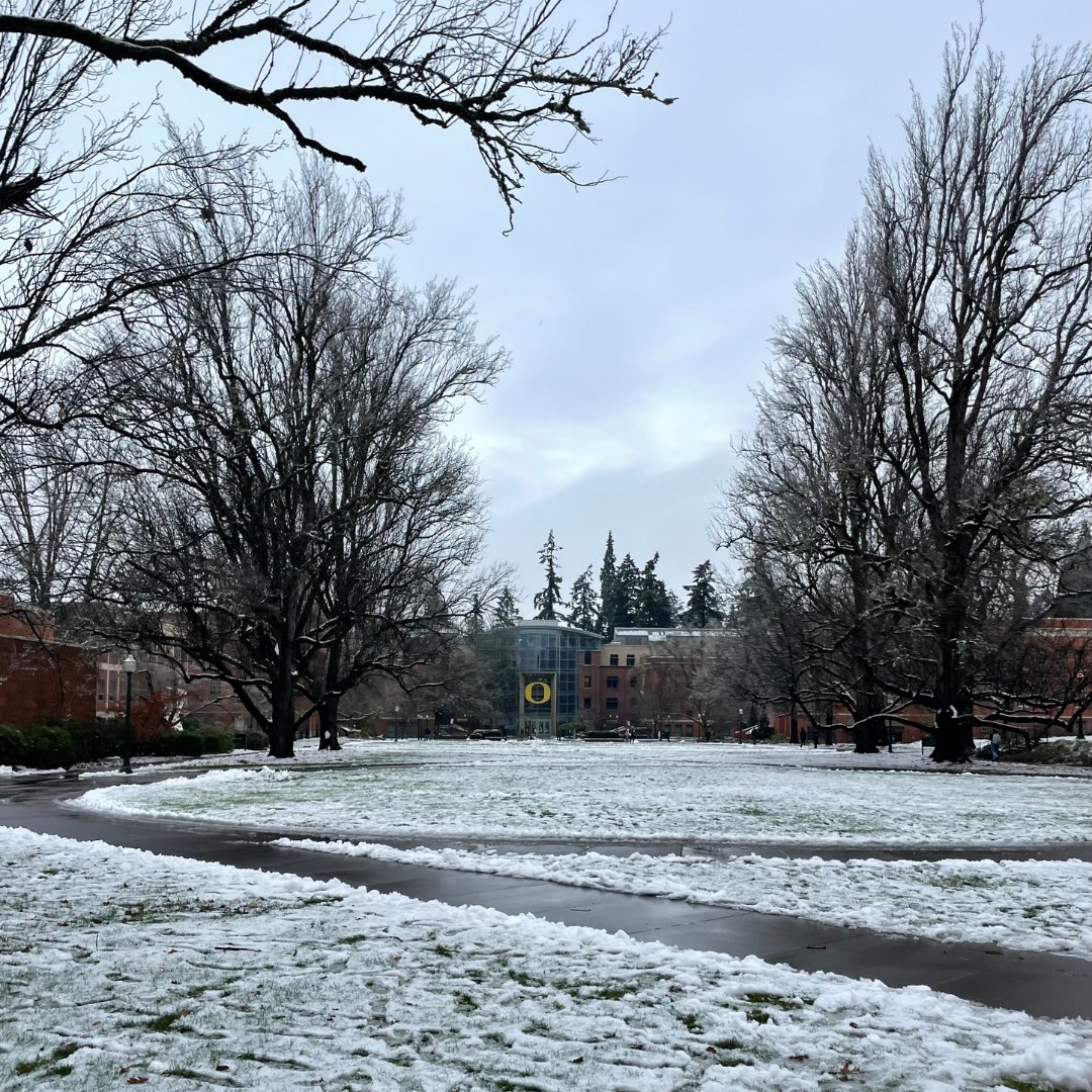 uohousing's tweet image. #ThrowbackThursday to last week! How did you spend your days in the snow?❄️