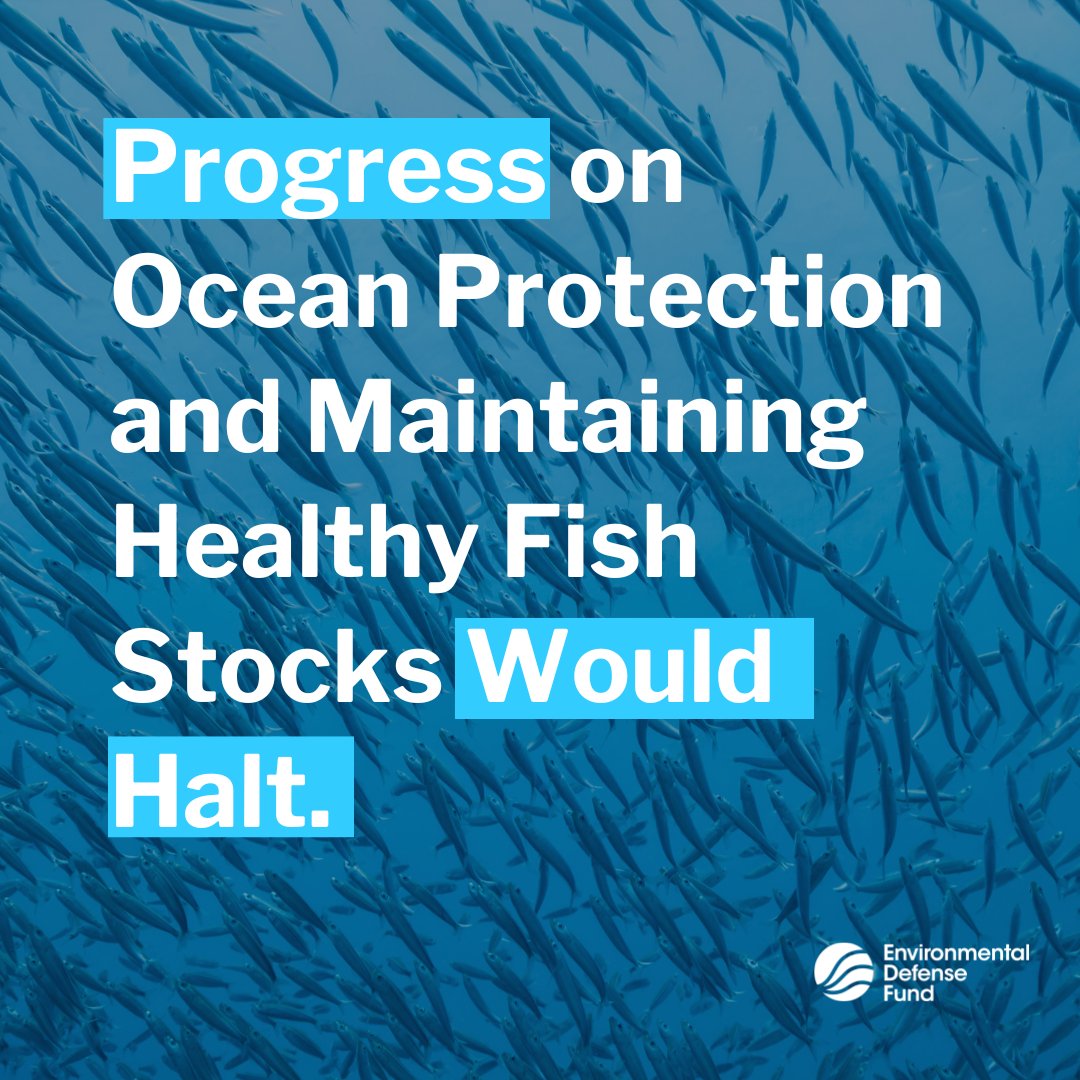 EDF Oceans tweet media