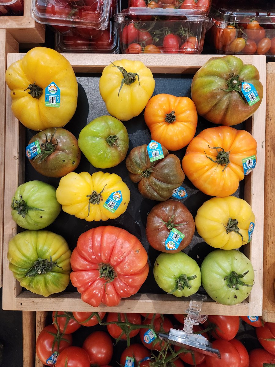 RicardoSchargel's tweet image. Just like humans. Different and unique. Yet still tomatoes.
We are all tomatoes.
Stop dividing us.
#StopHate #DividedWeFall #StopRacism #love