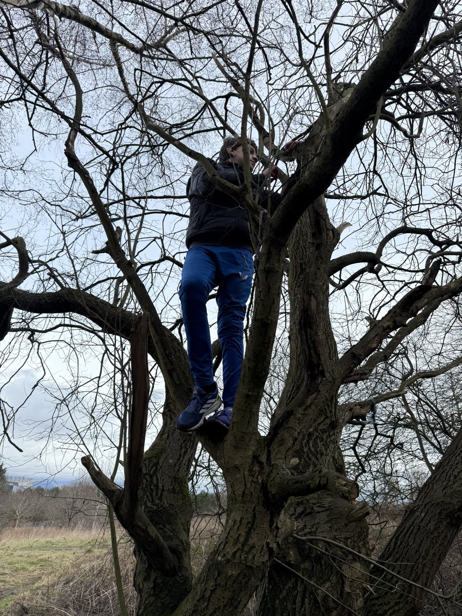missmcginty5's tweet photo. What a fantastic morning with these pupils! We started with delicious campfire snacks like cheesy potatoes, bacon rolls, and popcorn. Then, they had a great introduction to whittling. We even squeezed in some tree climbing! π²π₯π΄@IWBSFalkirk #iwbsoutdoors #learningwithoutwalls https://t.co/EGqGHWHm4q