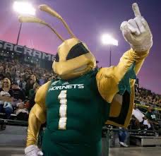 manman_da_beast's tweet photo. I am extremely blessed to announce that i have received my first division 1 offer from the university of sac state! Go Hornets 🐝. #agtg #blessed #goisgood @SacHornetsFB @BrandonHuffman @247recruiting @SydQuanThompson https://t.co/YaoF378qPZ