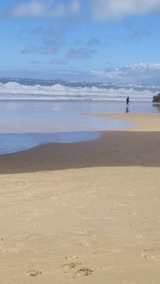 Trevor Welch tweet media