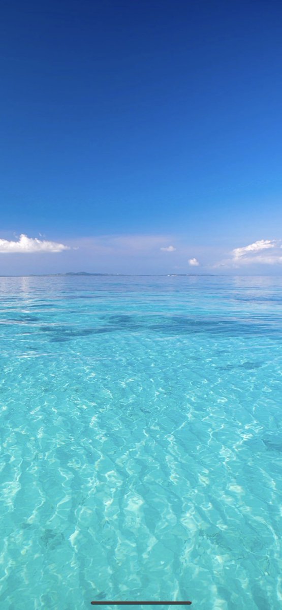 ☪弓月（ゆづき）☪ tweet media