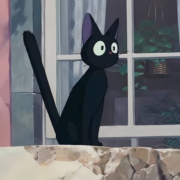 Black cats are not bad luck tweet media