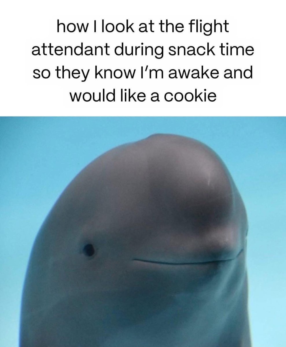 isabelle (@isabellepretend) on Twitter photo 