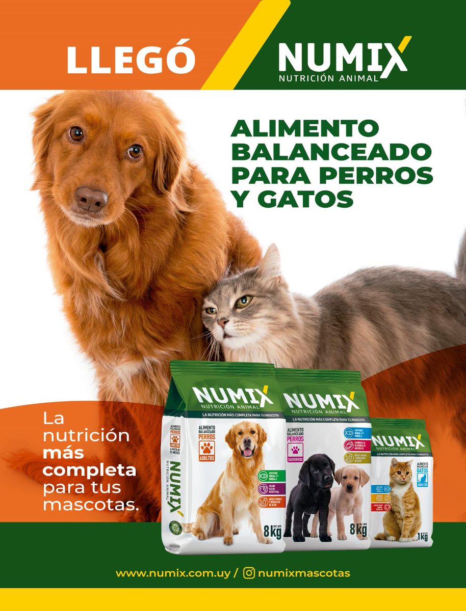 Facu Ferres tweet media