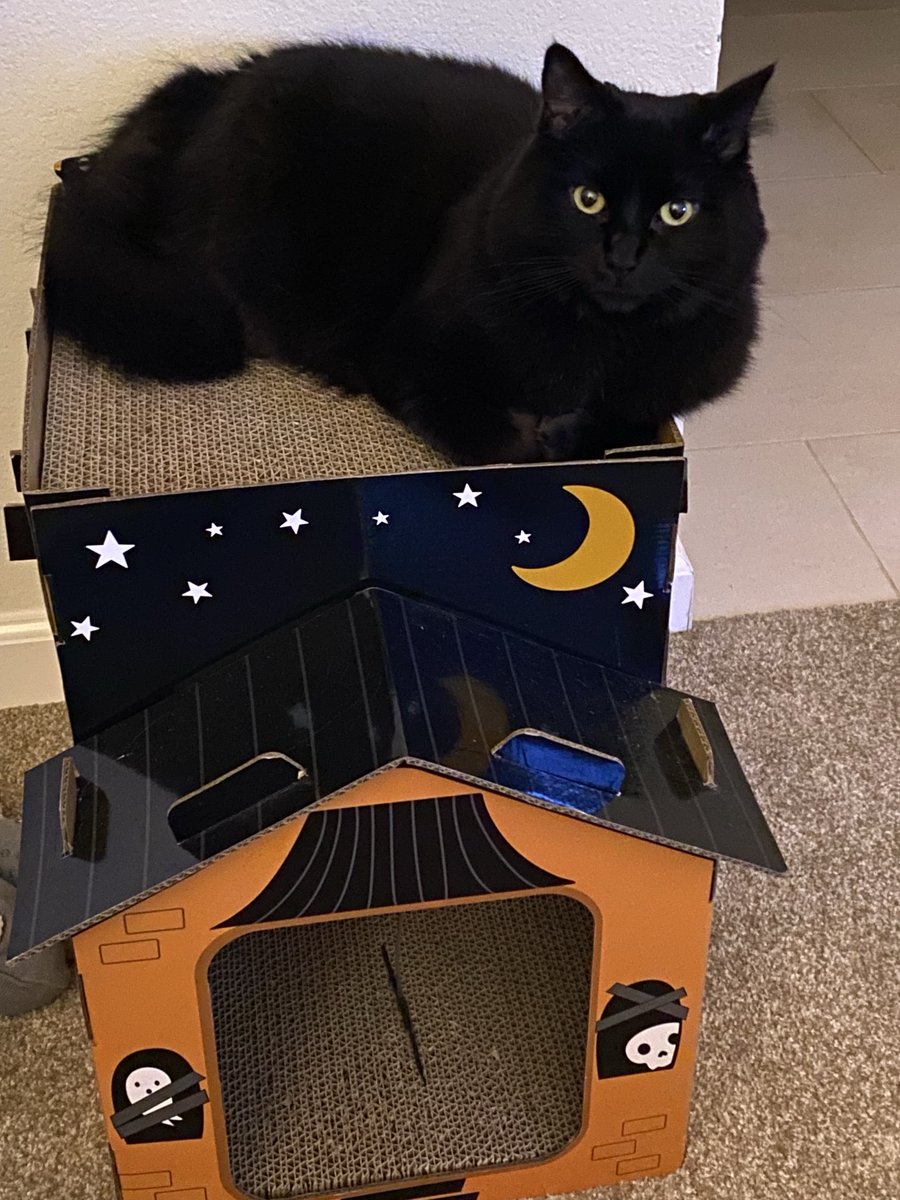 MemeCat99014509's tweet photo. 🐈‍⬛ It’s Mini~Panfur Purrsday as far as 
  I’m concerned. Yeah, us Panfurs
  Rock &amp; Roll Baby!🐈‍⬛🐾🖤❤️🤘

         Mini ~🐈‍⬛ 🖤😘🤗 to all!
                   🖤~Sabrina

#BlackCats #MiniPanfurs #PanfurSquad #BlackCatsAreCool 
#CatsRock #CatsOfX #ILoveBlackCats #Cats https://t.co/4yEGLK0Ylx