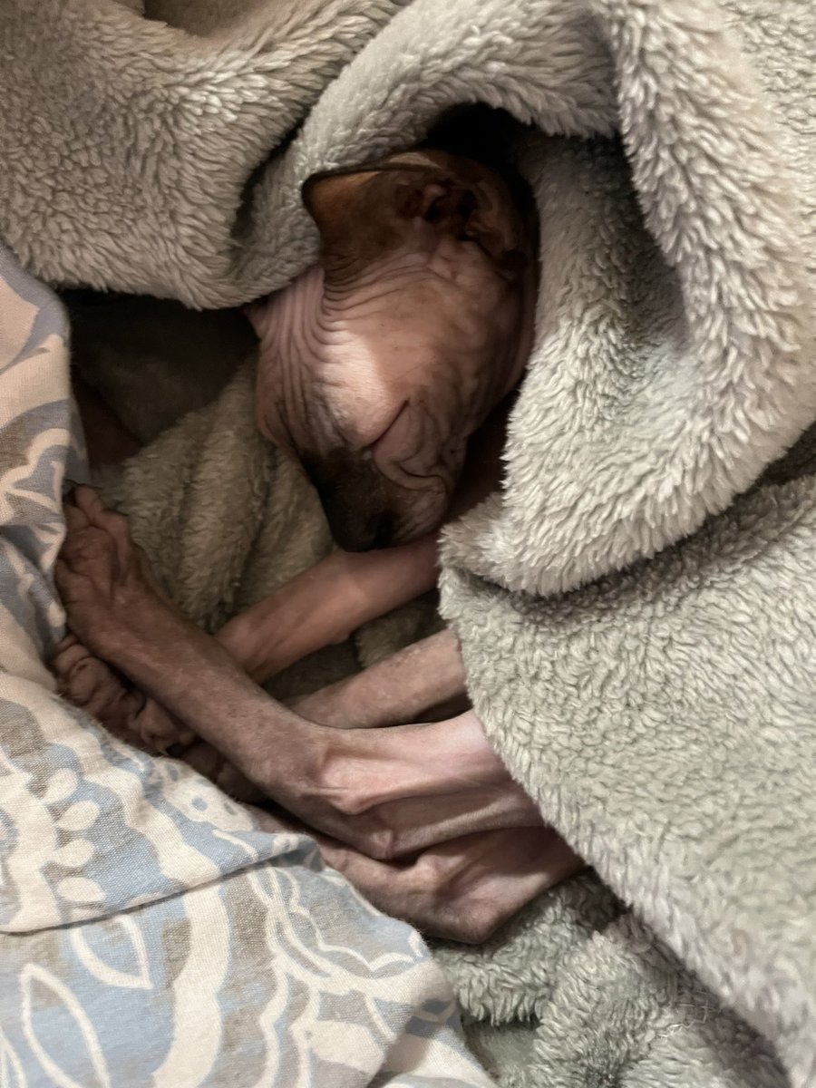 Chrystal Murphy Author tweet media