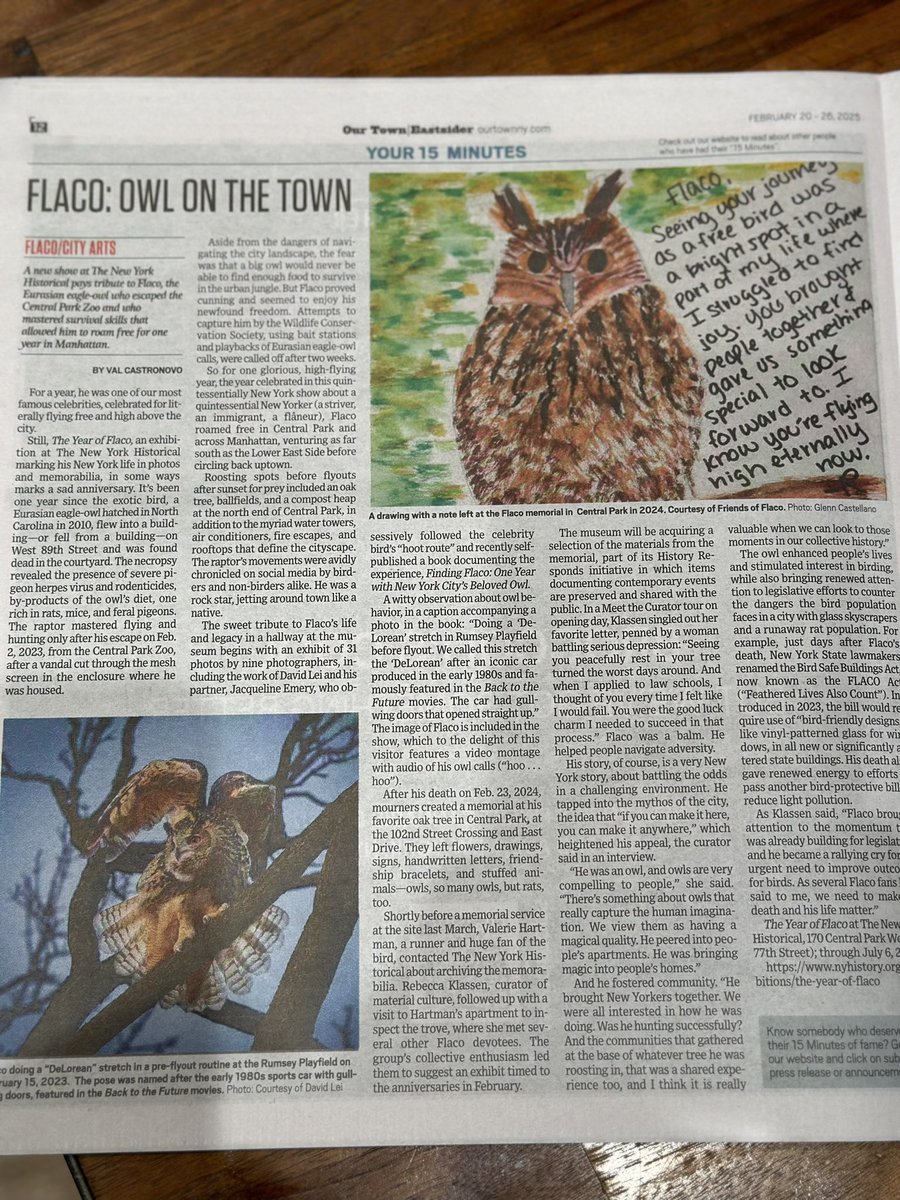 Val Castronovo (@valenicec) on Twitter photo “Your 15 Minutes,” which this week features Flaco, the owl, subject of a new show at <a href="/NYHistory/">The New York Historical</a>. Read all about it in <a href="/OTDowntown/">Our Town Downtown</a> <a href="/OurTownNYC/">Our Town</a> <a href="/WestSideSpirit/">West Side Spirit</a> <a href="/Chelsea_News_NY/">Chelsea News</a>
ourtownny.com/city-arts/flac… “Your 15 Minutes,” which this week features Flaco, the owl, subject of a new show at <a href="/NYHistory/">The New York Historical</a>. Read all about it in <a href="/OTDowntown/">Our Town Downtown</a> <a href="/OurTownNYC/">Our Town</a> <a href="/WestSideSpirit/">West Side Spirit</a> <a href="/Chelsea_News_NY/">Chelsea News</a>
ourtownny.com/city-arts/flac…