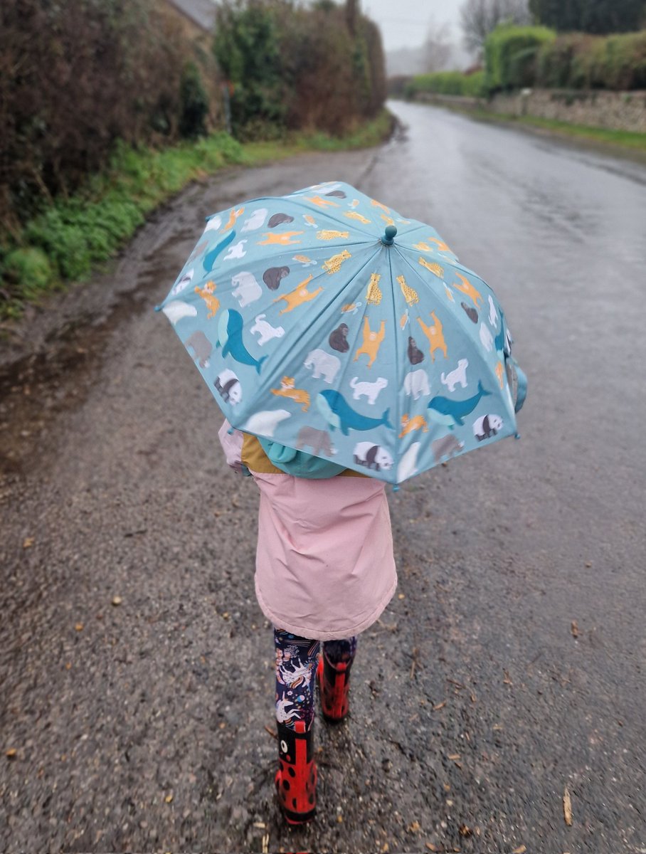 The rubbish weather doesn't stop our assistant dogwalker from taking us out for a walk! 🥰☔️