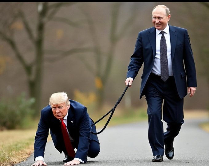 mdredpillawake's tweet photo. @TheRickWilson @realDonaldTrump Which one does he hate? https://t.co/xoNf34mvv6