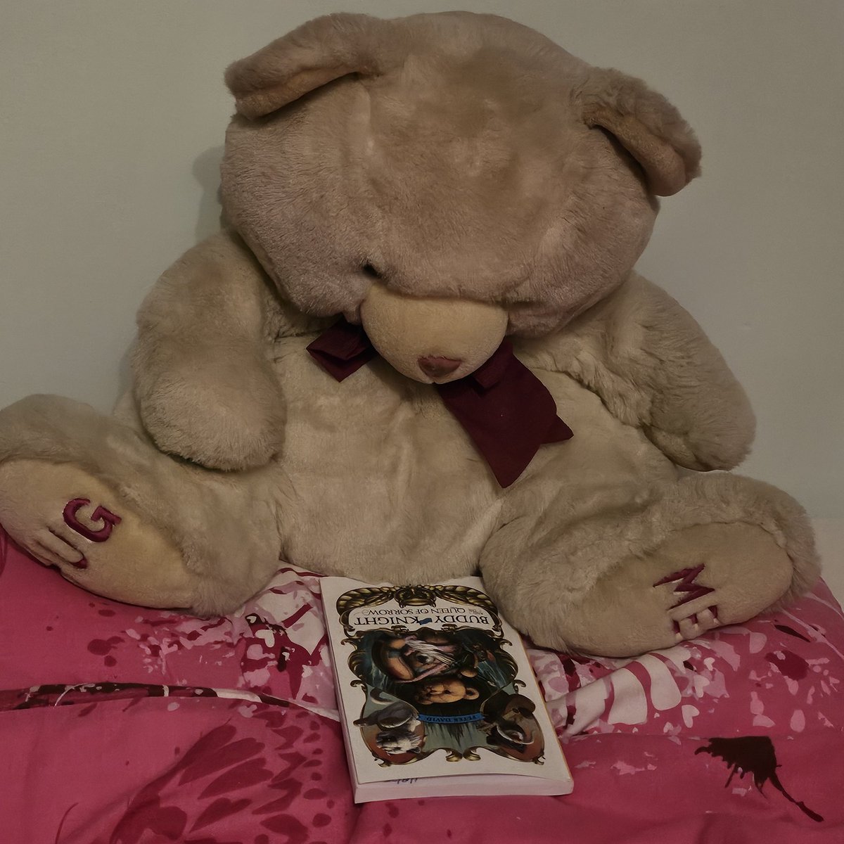 Sabrina 📚 🍸🚀 tweet media