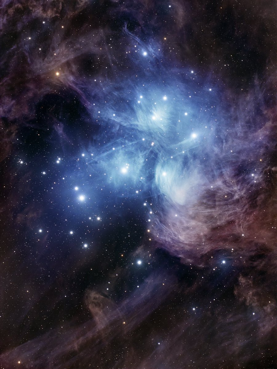 Ian Lauer Astro tweet media