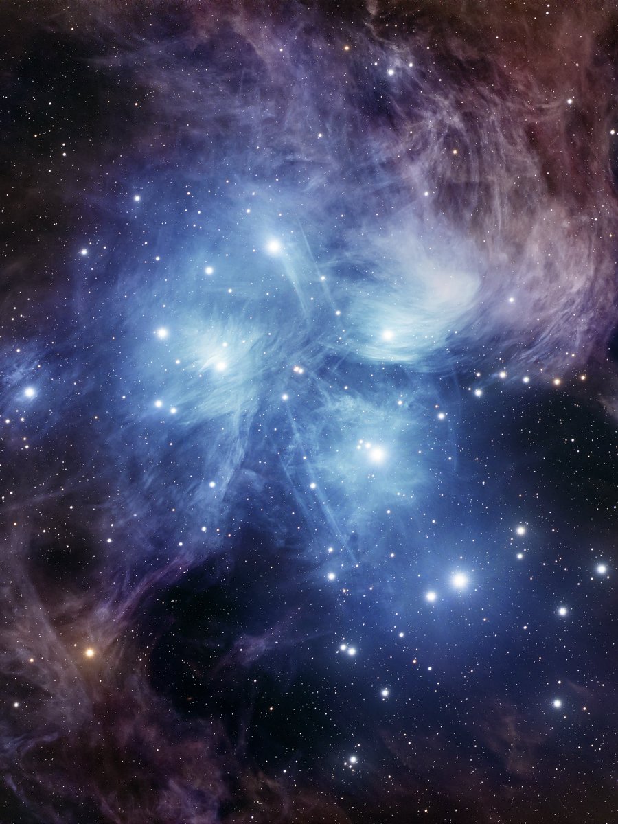 Ian Lauer Astro tweet media