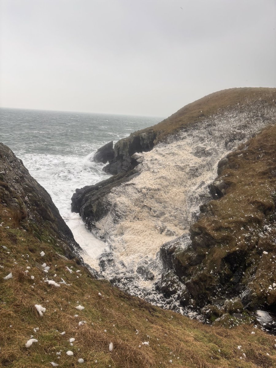 ManxShepherdess's tweet image. Amazing #spume yesterday. It wasn’t incredibly rough or windy but the perhaps the wind direction and temperature were just right 🤷🏼‍♀️
#isleofman