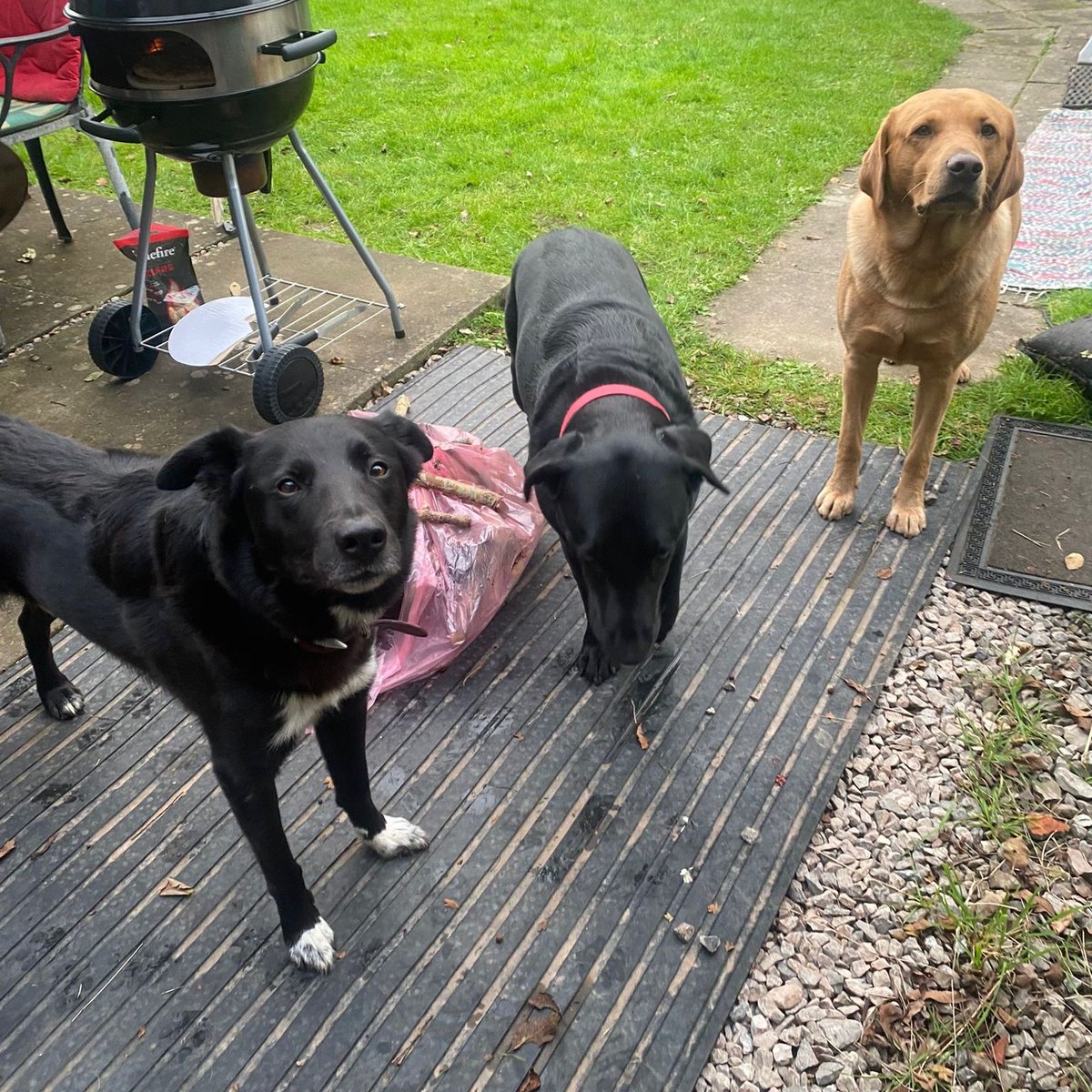 Dave Palmer tweet media