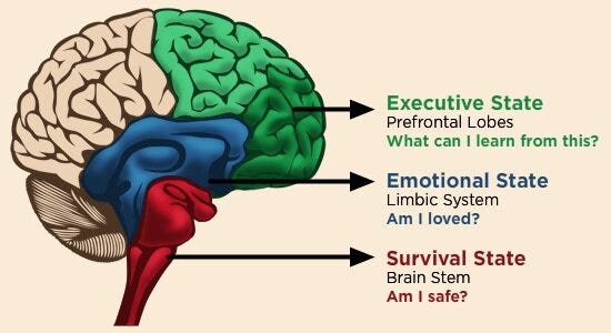 Thread.

Interventions require  an understanding of brain development. 

Keep it simple .

One house 3 floors.

Red-Survival. Brainstem. Am I safe.

Blue-Emotional
Limbic. Am I loved/attachment. 

Green-Pre frontal cortex. Logic, reason,problem solving.
What can I learn?
🧠🌱