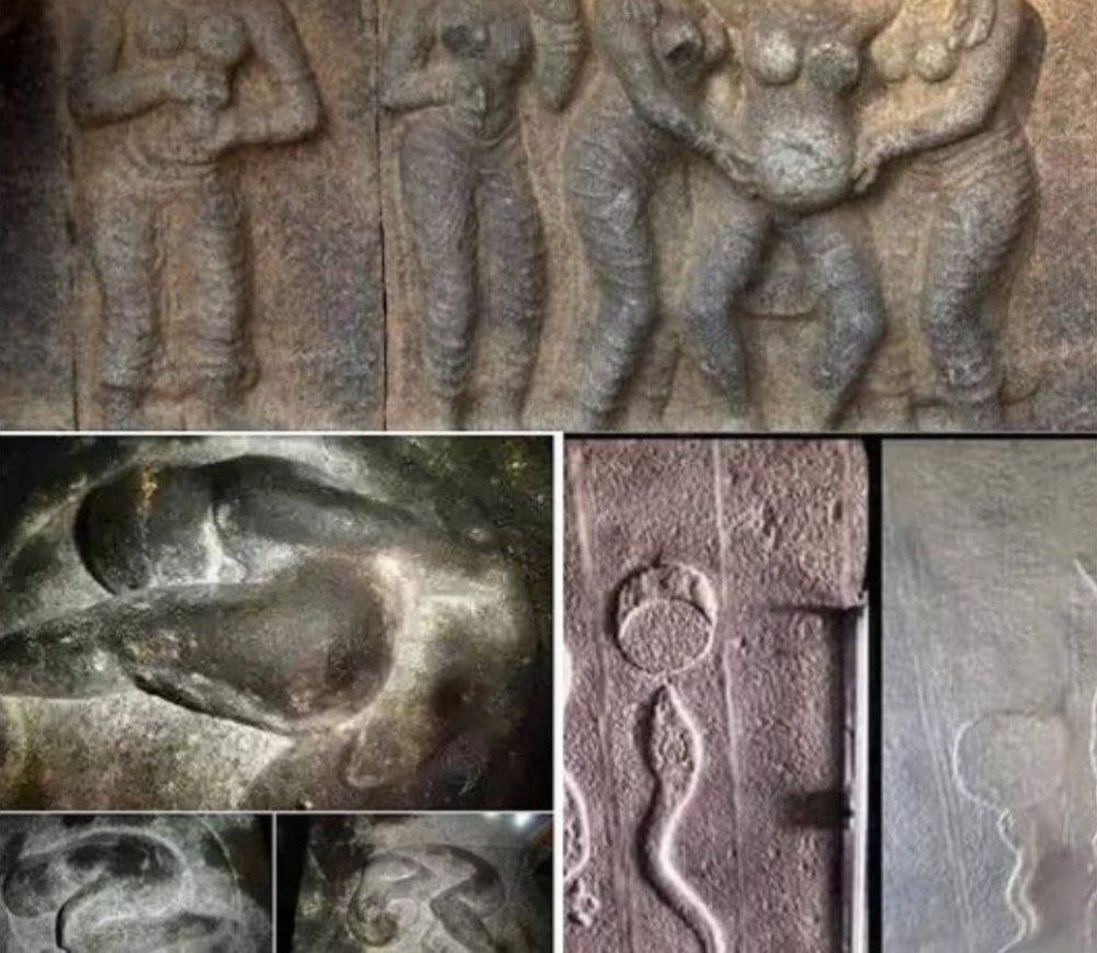 Black Hole tweet media