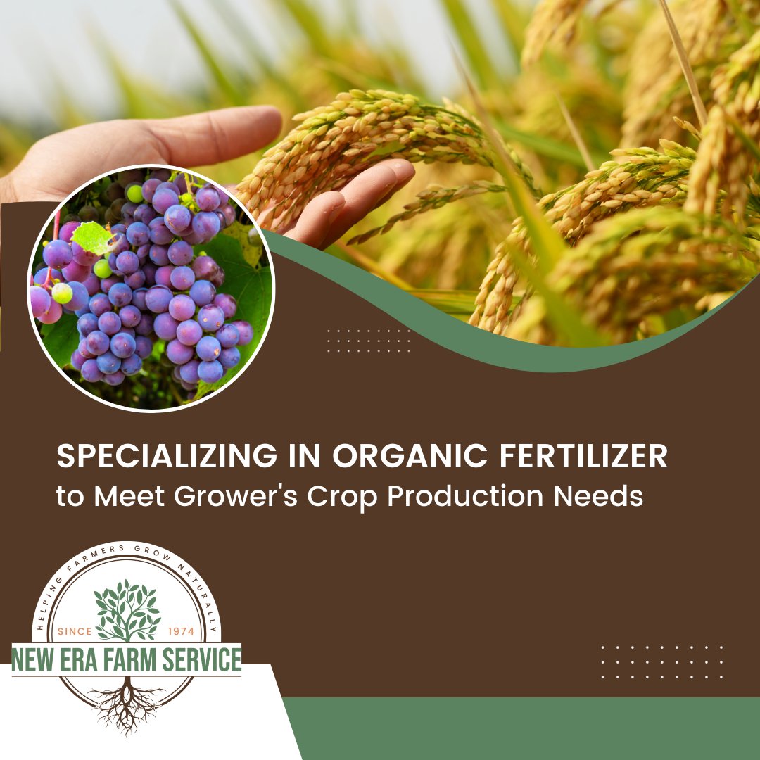 NewEraFarm's tweet photo. For over many years, New Era Farm Service has been dedicated to providing high-quality organic fertilizers and soil amendments. 

Find the right organic solution for your farm: https://t.co/eUDGApI0LS 

#NewEraFarmService #soilhealth https://t.co/DHP3hQg6Ic