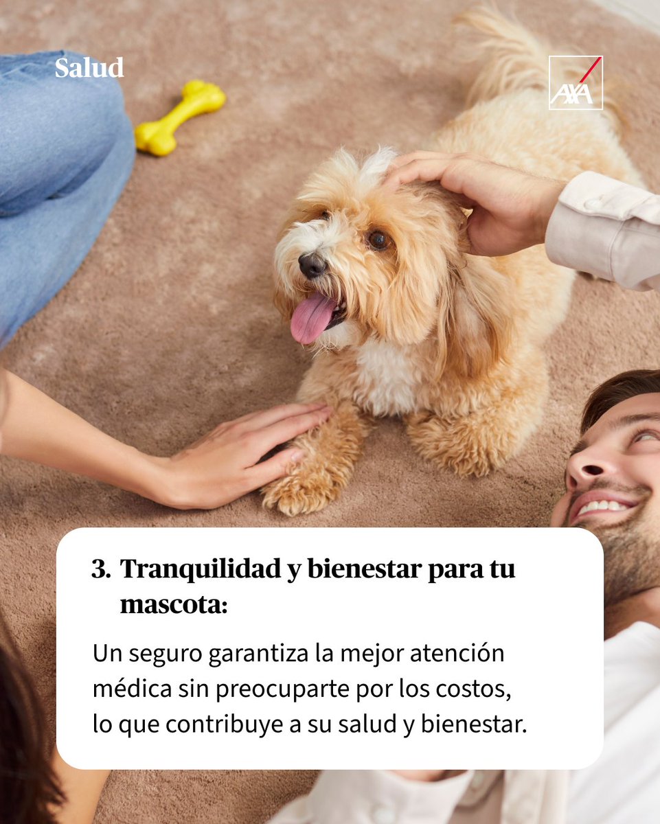 ¿Por qué deberías tener un seguro para tu mascota?🐈​ Contrata tu seguro con AXA aquí 👉🏻 axa.es/seguros-veteri…