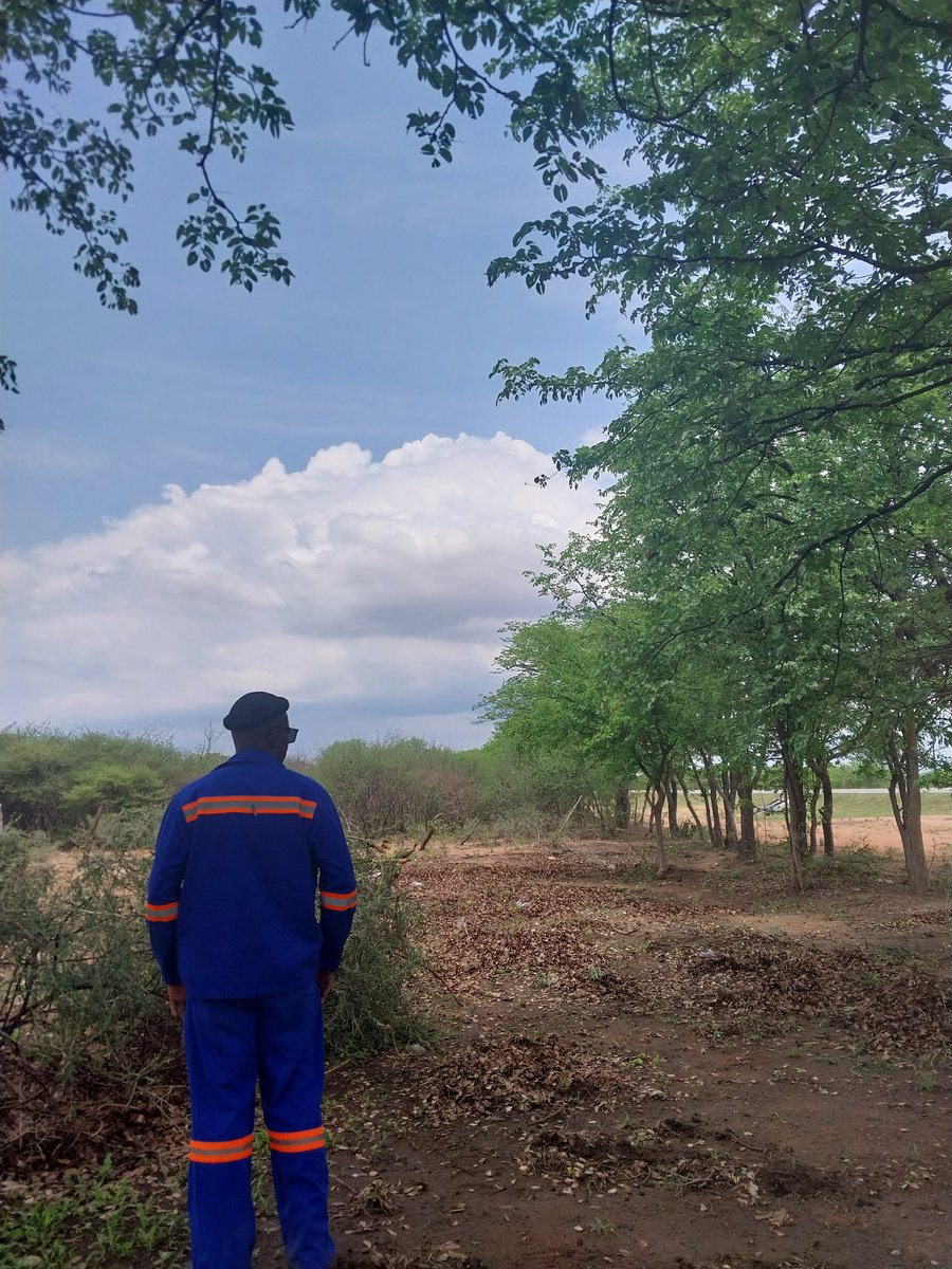 Dark_horse 456 ♥️ 🇧🇼 🇿🇦 (@egwafila) on Twitter photo 