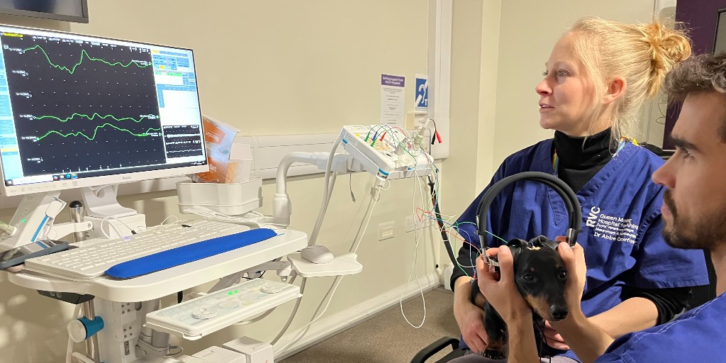 🎧Thanks to your support, the Queen Mother Hospital for Animals now has Brainstem Auditory Evoked Responses (BAER) testing equipment! 

This technology allows quick and accurate diagnoses of hearing deficits and brainstem dysfunction.

Learn more at: rvcact.com/BAER