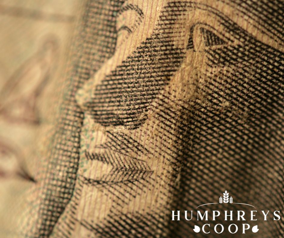 Did you know that the pharaohs of ancient Egypt were buried with wheat⁉️ 🌾

One of the most interesting facts about wheat is that its seeds have been found in the Egyptian tombs of pharaohs. This was first discovered in the 1840s, and soon ‘mummy wheat’ became a world sensati...