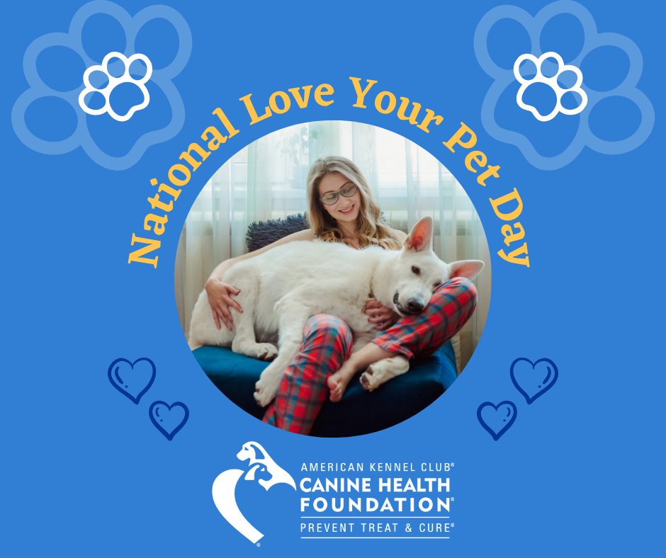 This National Love Your Pet Day, show your dog some love by supporting the AKC Canine Health Foundation! 🥰 🐾 Working together, we can support the next canine health breakthrough to help our beloved dogs live longer, healthier lives. Give now at akcchf.org/donate.
