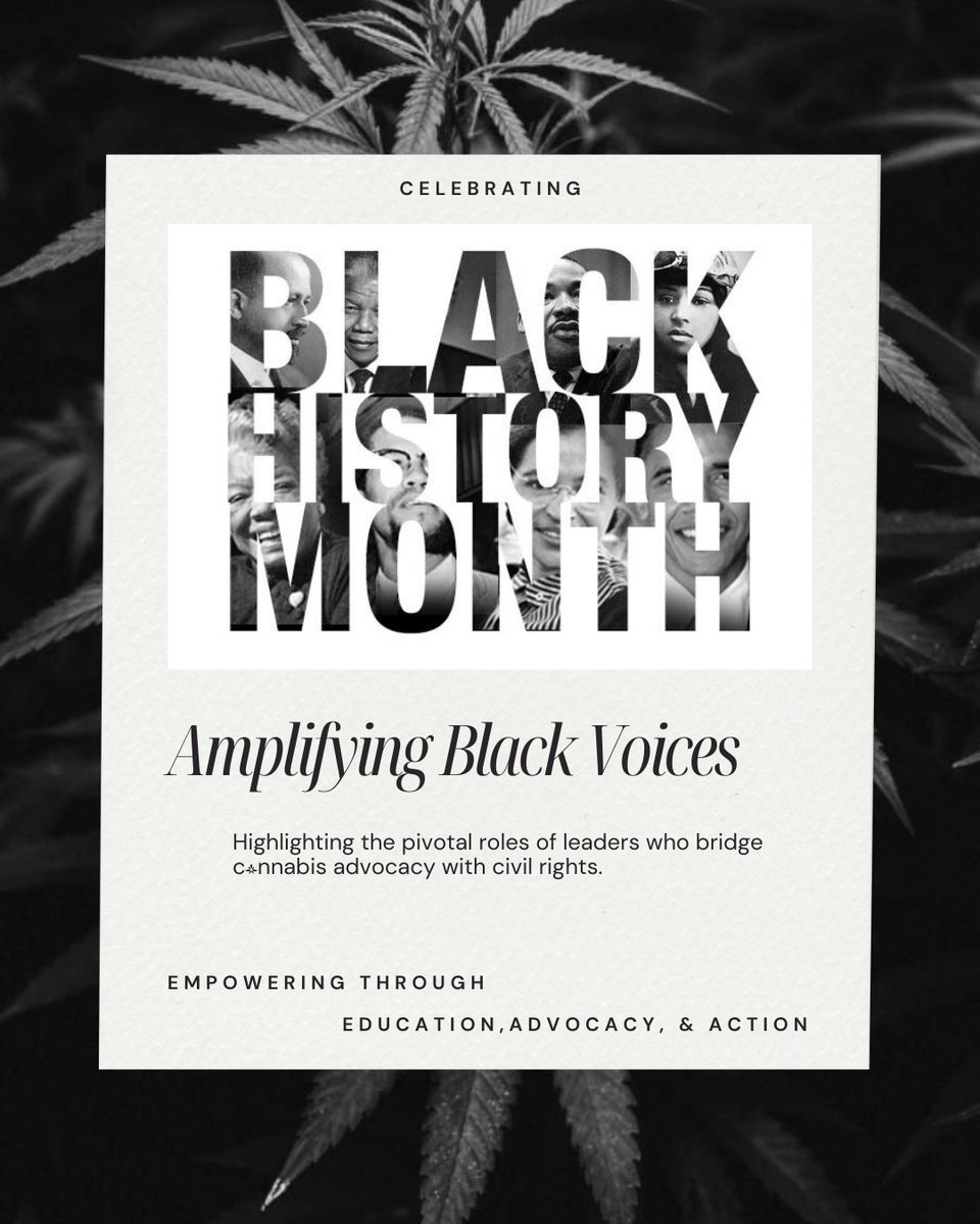 MedicineManCO's tweet photo. Celebrating culture, community, and c*nnabis 🌿 This Black History Month, we honor the achievements of Black leaders in c*nnabis who inspire us to aim higher and fight harder 
#BlackHistoryMonth
 
Content for educational purposes only | Not For Sale | 21+ Only ✅ https://t.co/gahT5DGioj