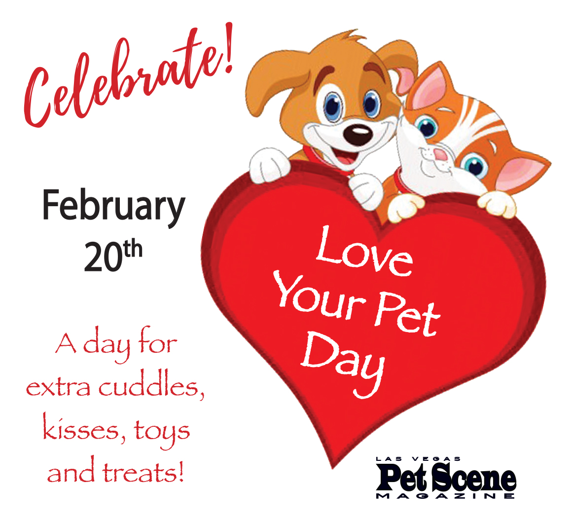 Las Vegas Pet Scene tweet media