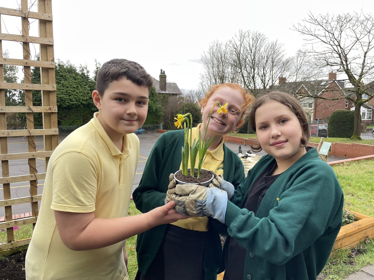 sthcpsbarry's tweet photo. #efailisaf As we draw to the end of Welsh week, we spent the afternoon brightening up the school by planting some daffodils๐ด๓ ง๓ ข๓ ท๓ ฌ๓ ณ๓ ฟ๐ผ https://t.co/nSQgI7eINS