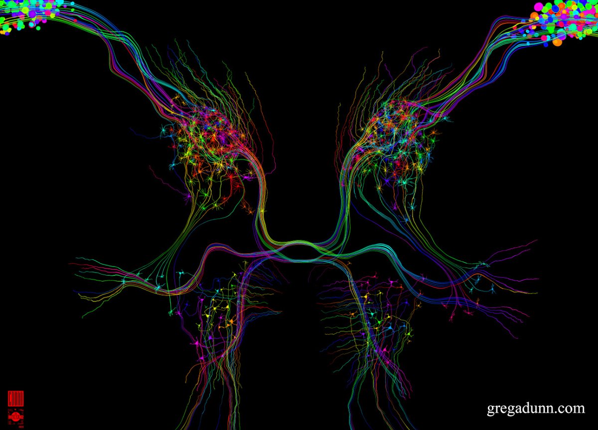 GDunnArt's tweet image. Selected circuitry from the gray matter regions of the piece Spinal Cord.A still 
Availalbe as a microetched print here:
shorturl.at/Mqk4t

#spinalcord #spine #chiropractic #physicaltherapy #sciart