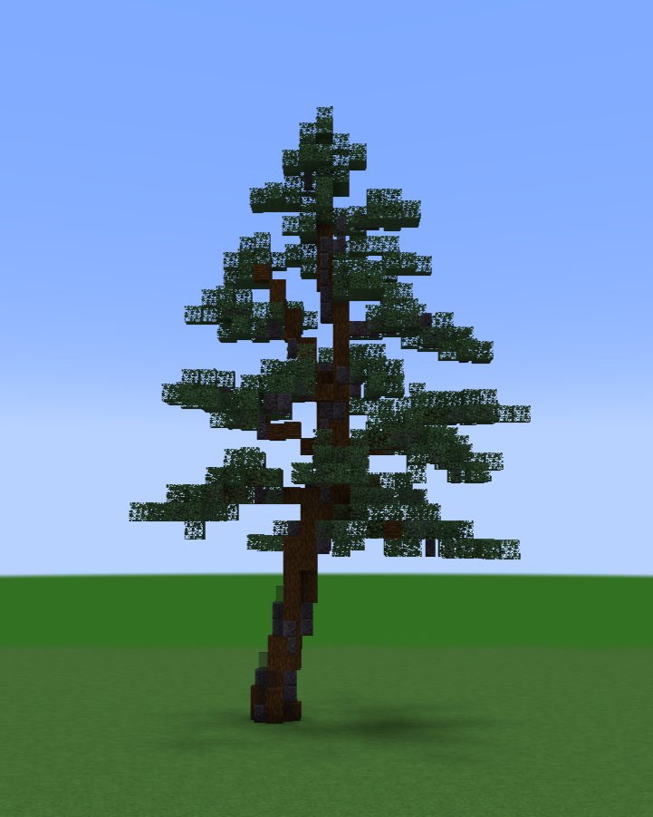 a pine tree