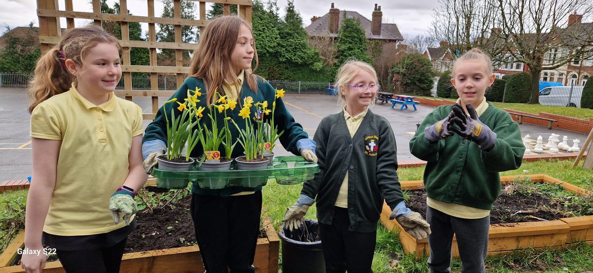 sthcpsbarry's tweet photo. #efailisaf As we draw to the end of Welsh week, we spent the afternoon brightening up the school by planting some daffodils. If you couldn't tell we have had a very busy day promoting and embracing Welsh and our Campus Cymraeg Ministry๐ด๓ ง๓ ข๓ ท๓ ฌ๓ ณ๓ ฟ๐ผโจ https://t.co/Y36DtbvLgb