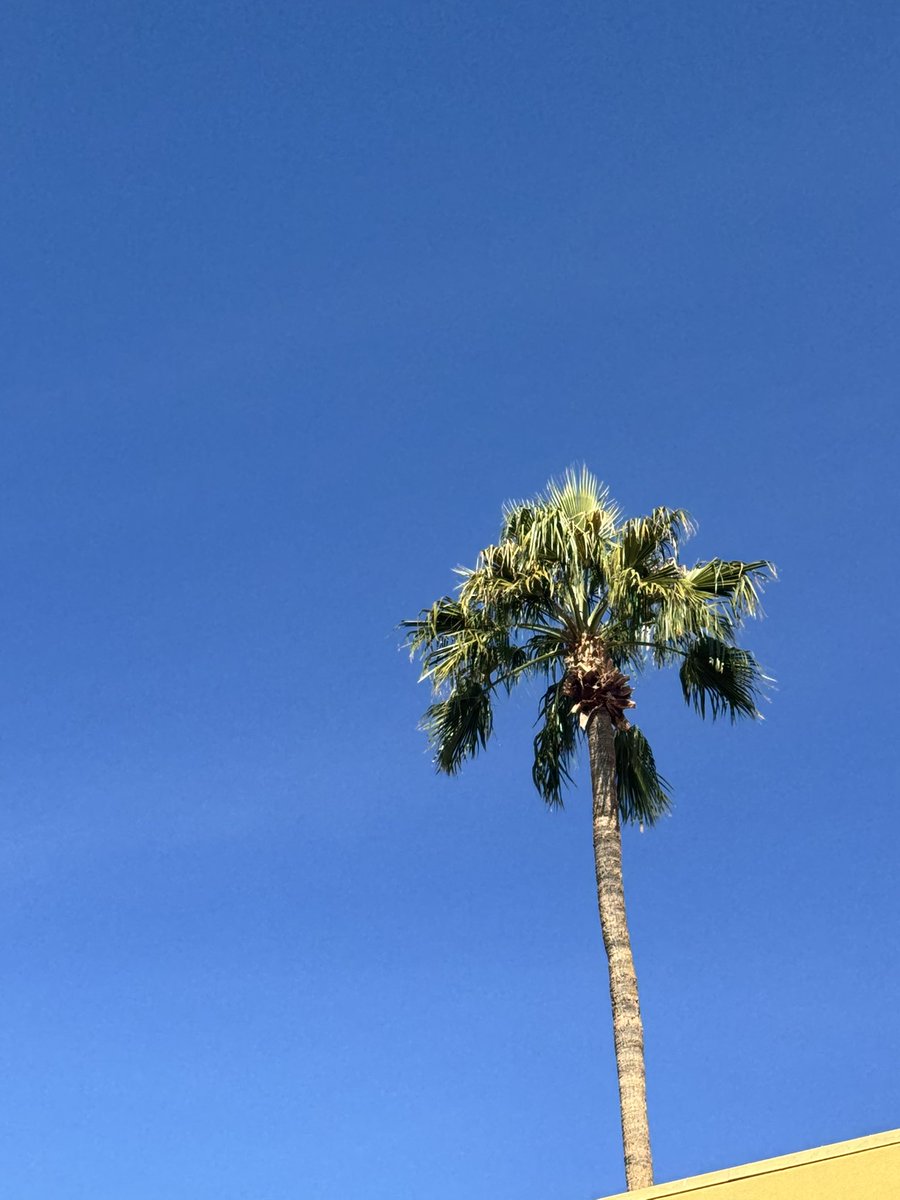 Back to the snow ❄️