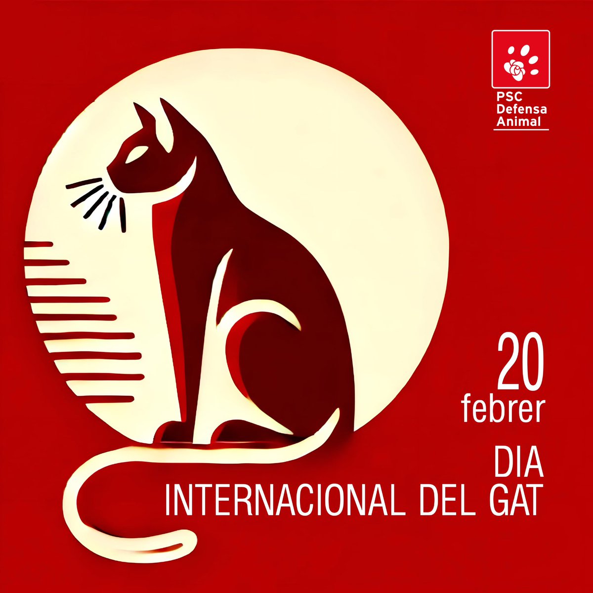 🐱 Avui és el Dia Internacional del Gat, un día per recordar la importància de protegir i respectar aquests animals amb els quals compartim la vida.

Reafirmem el nostre compromís amb el seu benestar i la seva protecció. Per una convivència responsable i plena de respecte! 🐾❤️