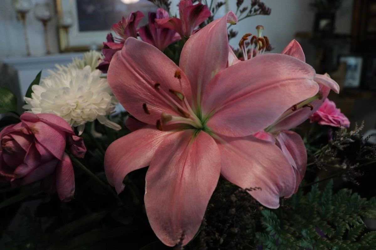 Lily