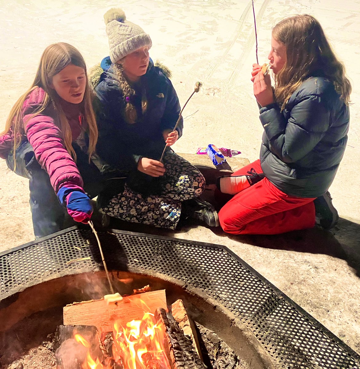 🇸🇪AA25 Marshmallows over the campfire to celebrate our last evening in Sweden
