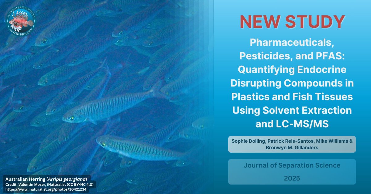 📑 #NewStudy by Dolling et al. tested five different extraction methods for monitoring chemical pollutants which are absorbed by #plastic pollution and find their way into #fish in #Australia.

👀 buff.ly/4339jq5