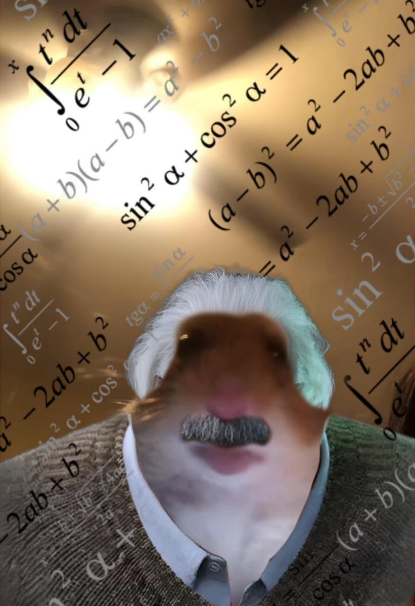 HAMIs Best Friend 🐹✨ tweet media